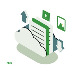 Silver FMS with 4 Mbps